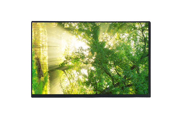 工業(yè)醫(yī)療液晶屏：全面解析其應用與優(yōu)勢